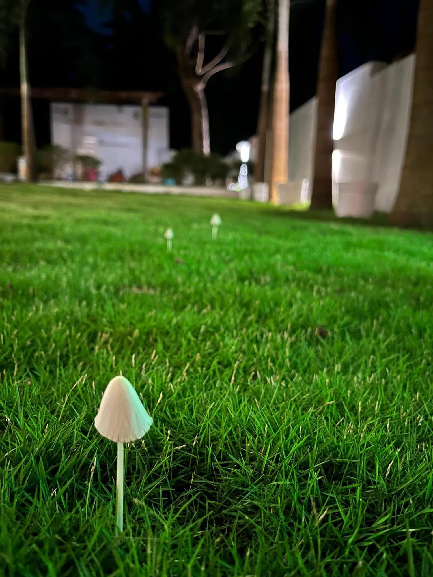 14 Magic Pods Hotel Morjim Luaran gambar